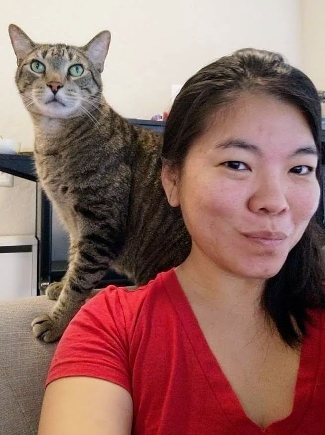 Cat on chair behind author